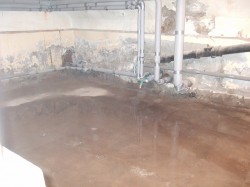 Инфильтрация воды через примыкания пол-стена, увлажнение стен в следствие капиллярного подсоса стен подвала.